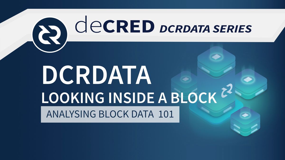 DCRDATA Looking into a block