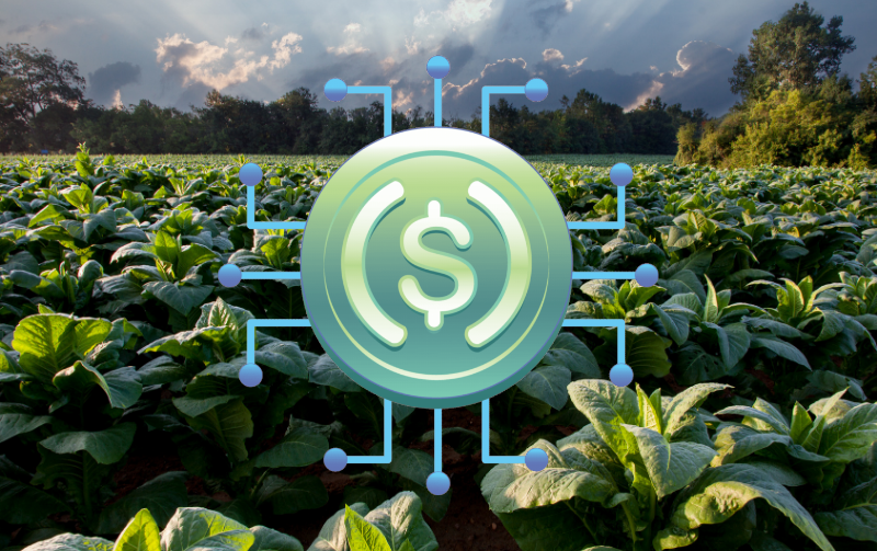 Digital agriculture, meet the innovative Agrotoken