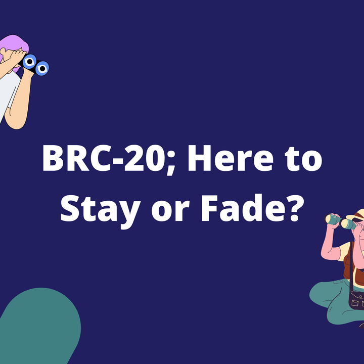 BRC-20; Here to Stay or Fade?